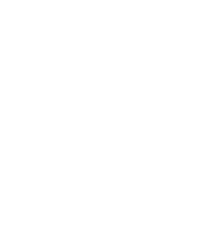 Delhaize Zottegem Feestje Illustratie
